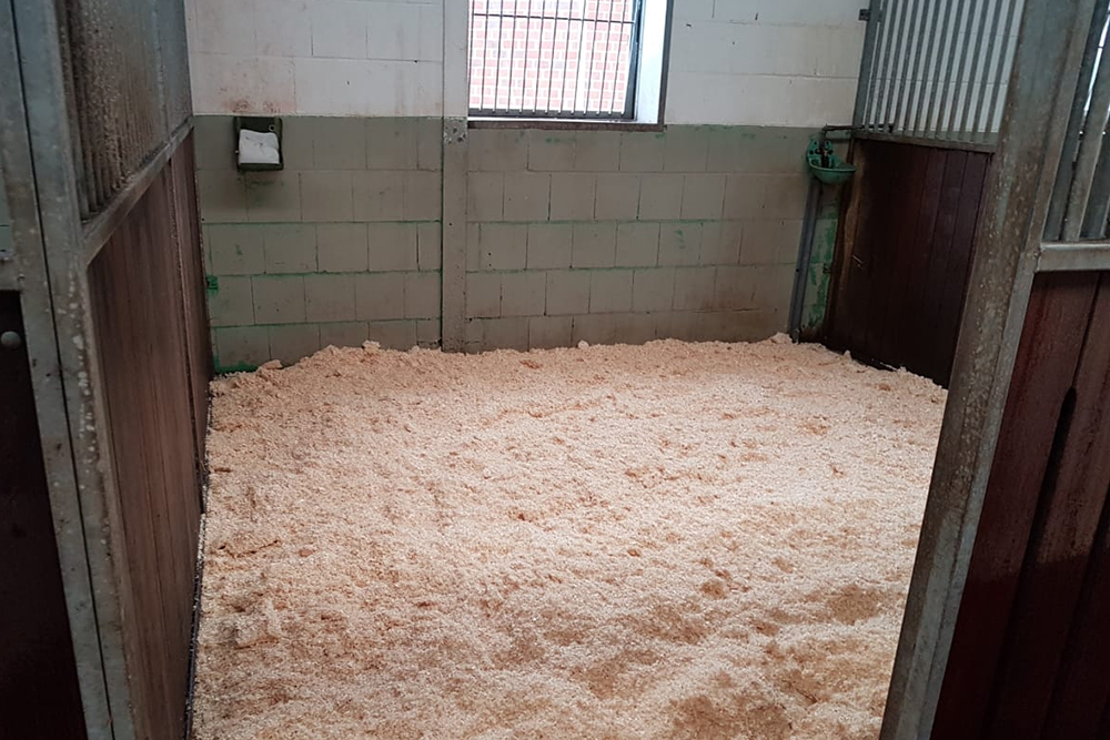 spänebox pferd reitstall