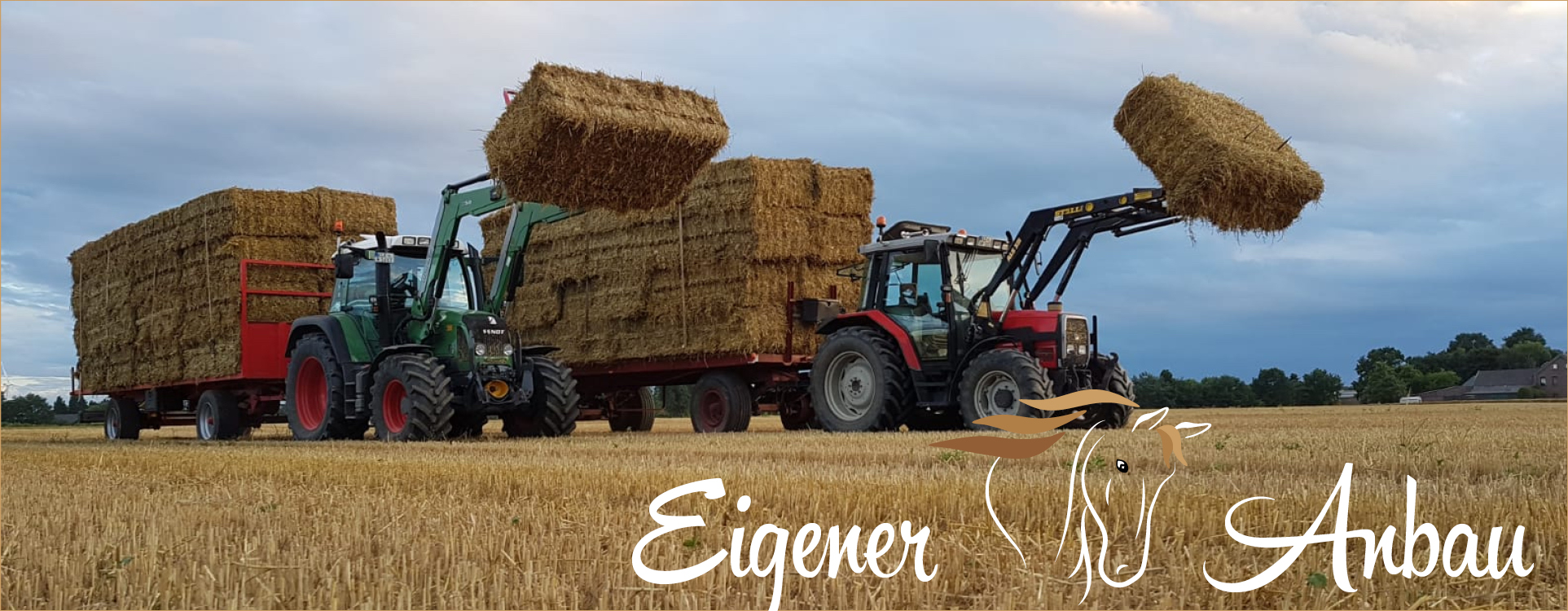 strohernte landwirtschaft