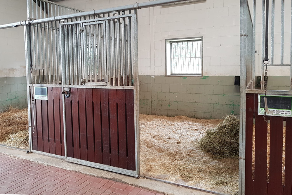 box pferd wachtendonk priehsen