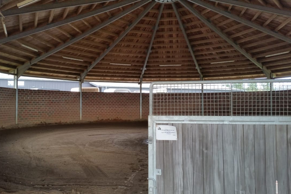 reithalle wachtendonk pferdepension