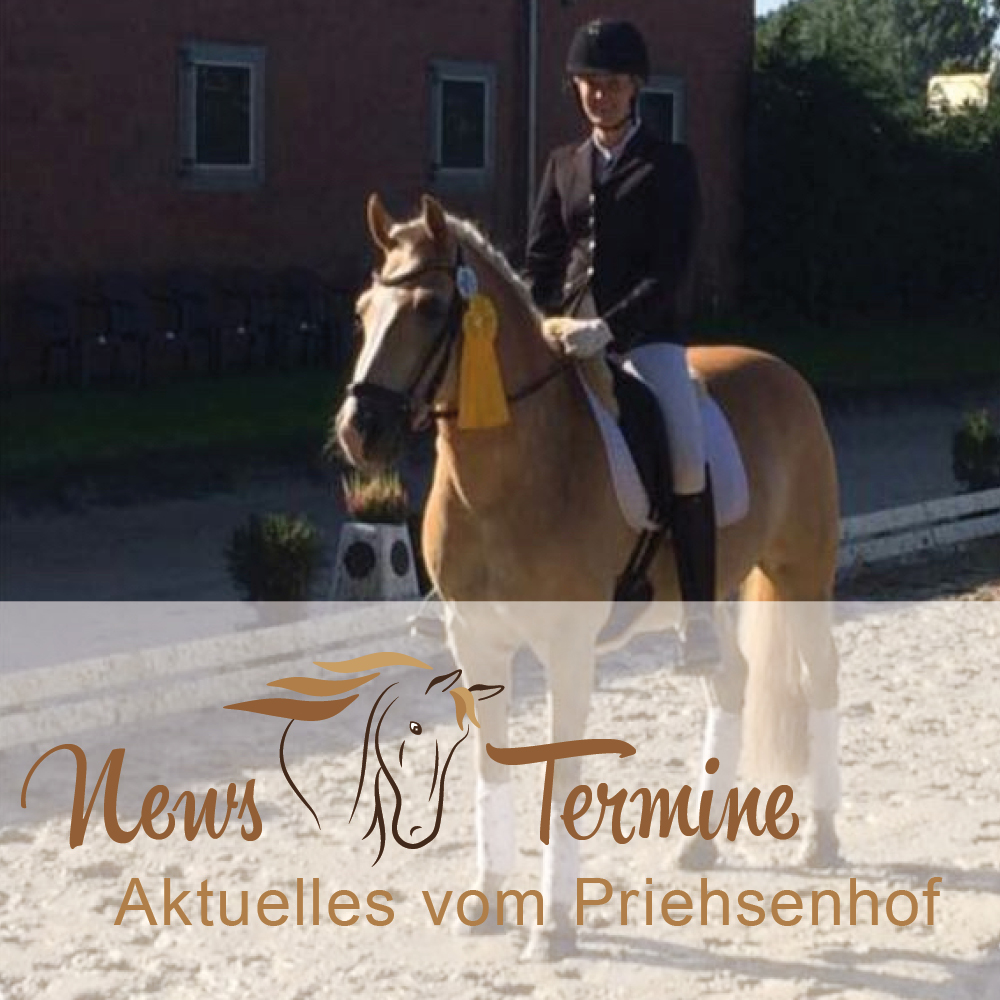 reitanlage wachtendonk priehsen
