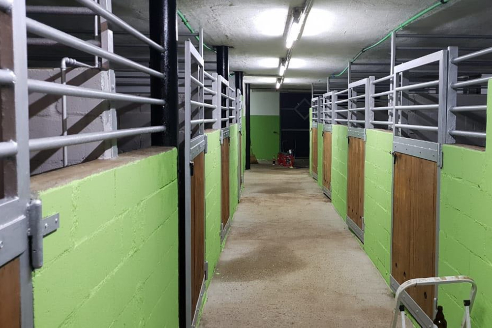 ponybox wachtendonk reitstall