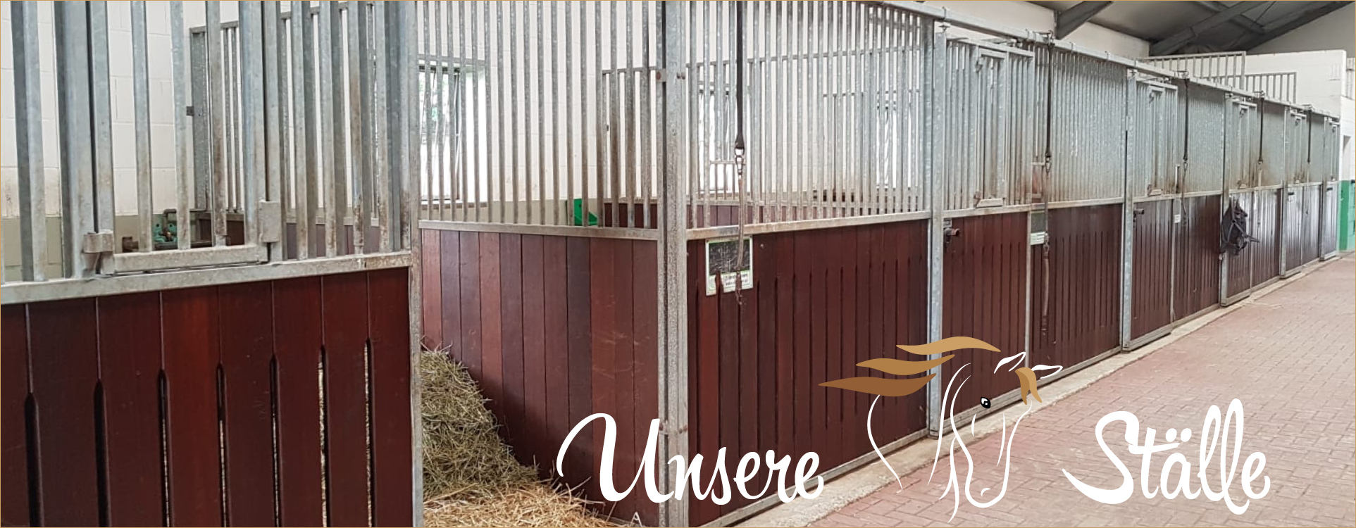 pferdebox wachtendonk priehsenhof